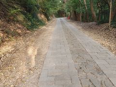 -上海佘山国家森林公园西佘山园