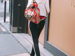 -蒙特拿破仑大街