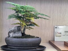 -小罐茶(济南恒隆广场店)