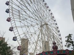 -弘阳·未来世界(弘阳广场店)