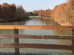 -上海海湾国家森林公园