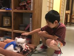 -小草屋轰趴馆别墅派对新场团建家庭聚会