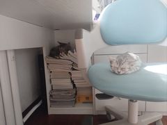 -全心全意连锁动物医院·微创中心·内科急重症·心脏专科(丰管路店)