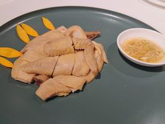 白切葵花鸡-陶陶居·雅园(凯华国际店)
