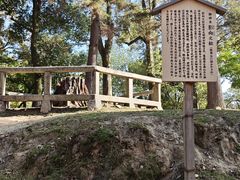 -奈良公园