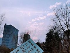 -木塔寺遗址生态公园