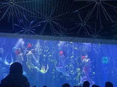 -华夏文旅海洋公园