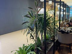 -THE WOODS 简餐 (国贸商城店)
