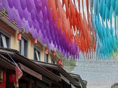 -栾川竹海野生动物园