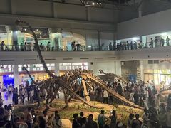 -自贡恐龙博物馆