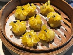 -点都德·毕德寮