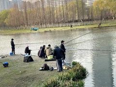 -滨湖塘西河公园