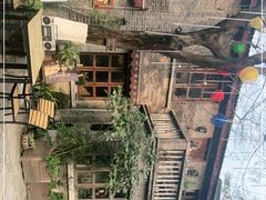 -两棵枇杷树