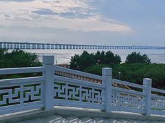 -宝安西湾红树林湿地公园