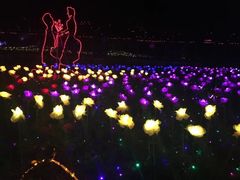 -武汉紫薇都市田园