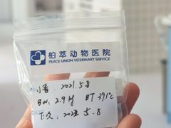 -柏萃动物医院·骨科·牙科