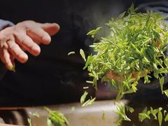 -十八棵（老龙井）御茶园(老龙井店)