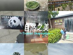 -武汉动物园
