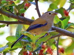 -白鹭湾湿地公园