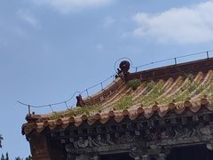 -北陵公园