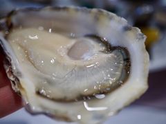 -Oyster Talks 四度蚝法餐厅