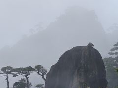 -三清山希尔顿度假酒店