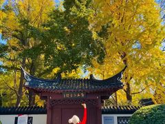 -郑和公园