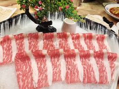 -清真军邺·金富苑肥牛(石坡街旗舰店)