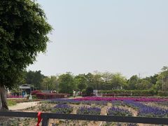 -广东花都香草世界旅游度假区