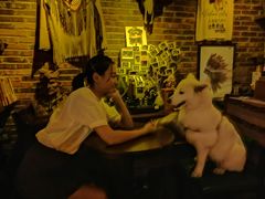 -城墙外BAR