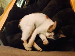 -蜉蝣酒吧(仓山万达店)