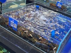 -华膳楼·安徽地标美食·中华餐饮名店(文化公园店)