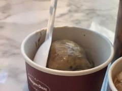 雪绒球外带冰淇淋菜式-哈根达斯(武汉天地店)