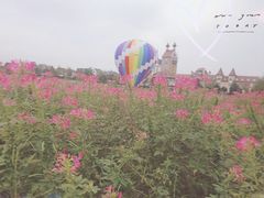 -花博汇(知音花月夜)