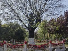 -东台西溪天仙缘景区