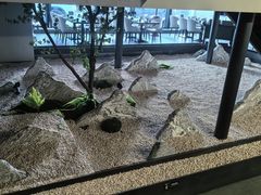 -稻早料理美术馆(城阳店)