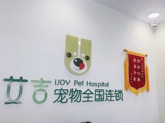 -艾吉宠物医院·疑难杂症转诊中心·猫友好(碧江路院)