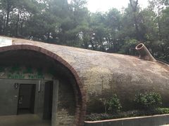 -铁山坪森林公园