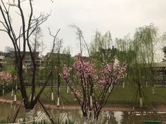 -沐仙湖湿地公园