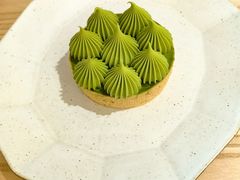 -猫里有甜