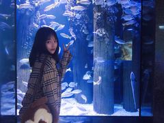 -成都浩海立方海洋公园