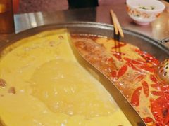 -朱光玉火锅馆(正弘城店)