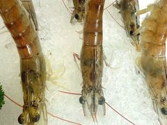 -牛天下·牛肉·海鲜·打边炉·融合菜