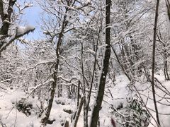 -九峰山