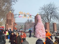 -桃花堤公园