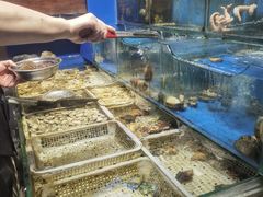 -潮庭·大连海鲜·炭火烧烤·扇贝王(大连店)
