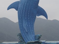 -广东省拱北口岸中国旅行社(华宾营业部)