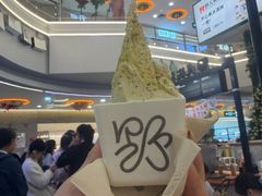 -野人先生Gelato(上海长宁龙之梦店)