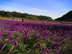 -云漫湖生态度假公园