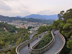 -福道